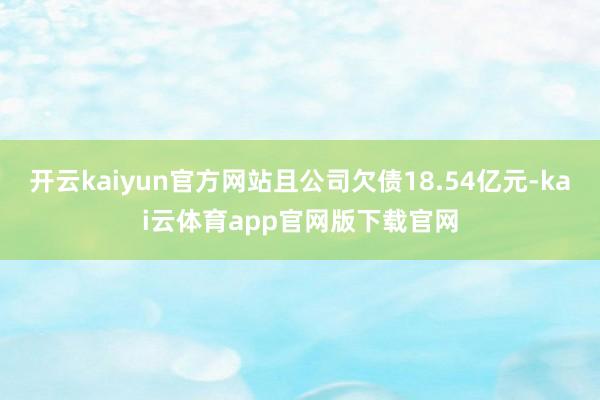 开云kaiyun官方网站且公司欠债18.54亿元-kai云体育app官网版下载官网
