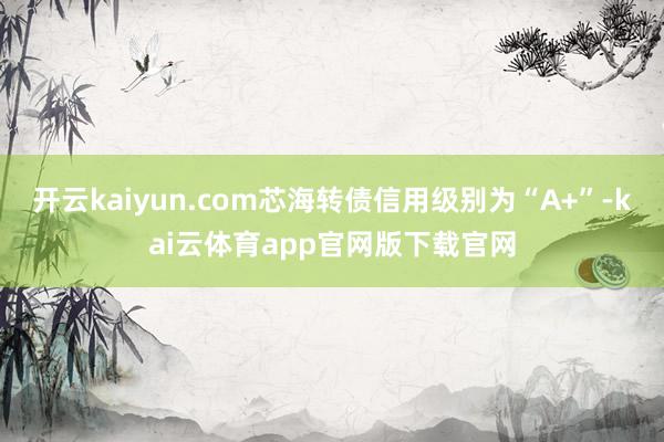 开云kaiyun.com芯海转债信用级别为“A+”-kai云体育app官网版下载官网